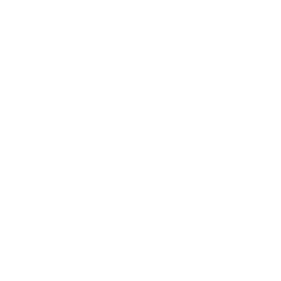 Aguila turismo logo